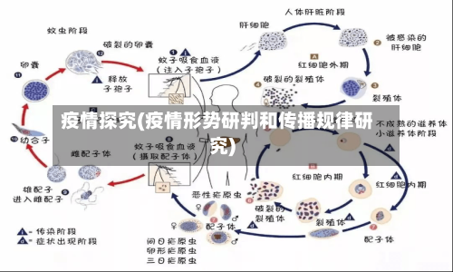疫情探究(疫情形势研判和传播规律研究)-第2张图片